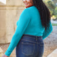 Basic Bae Full Size Round Neck Long Sleeve Bodysuit